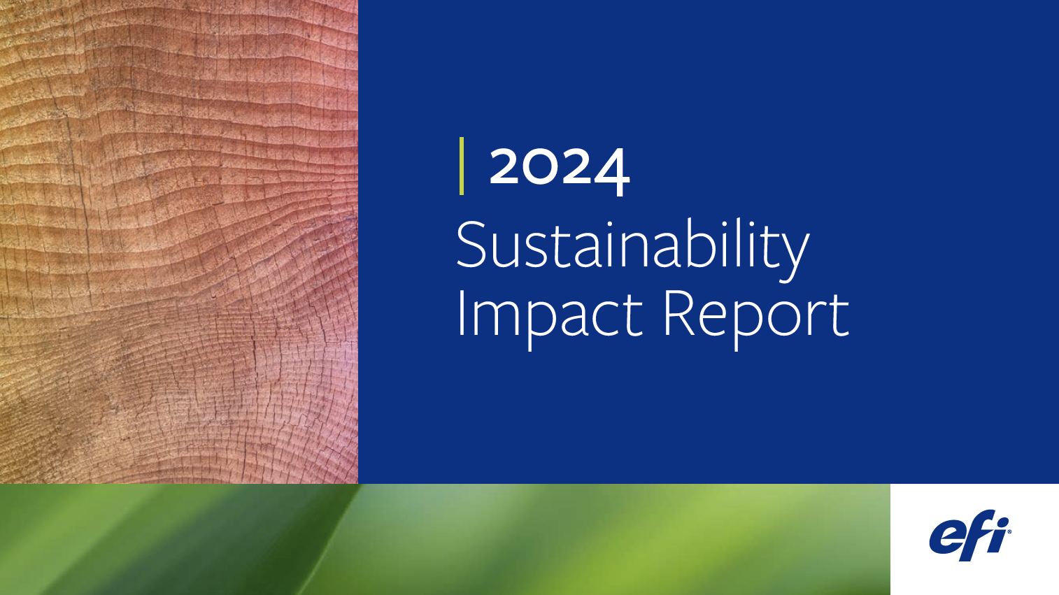 2024 EFI Sustainability Impact Report.